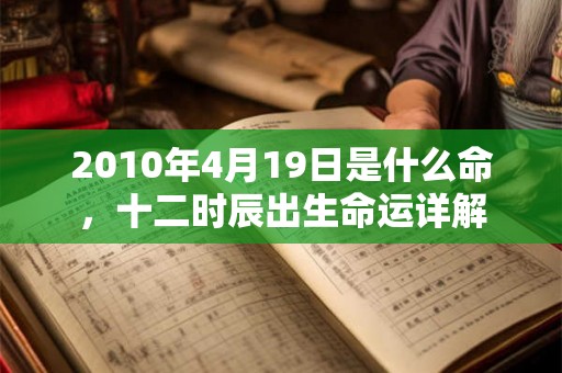 2010年4月19日是什么命，十二时辰出生命运详解