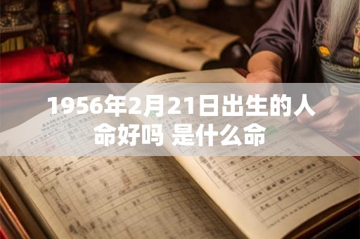 1956年2月21日出生的人命好吗 是什么命