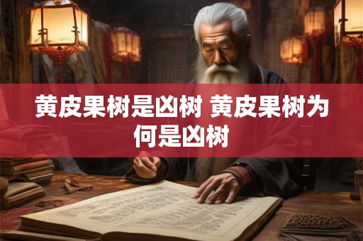 黄皮果树是凶树 黄皮果树为何是凶树 黄皮果树是凶树 黄皮果树为何是凶树