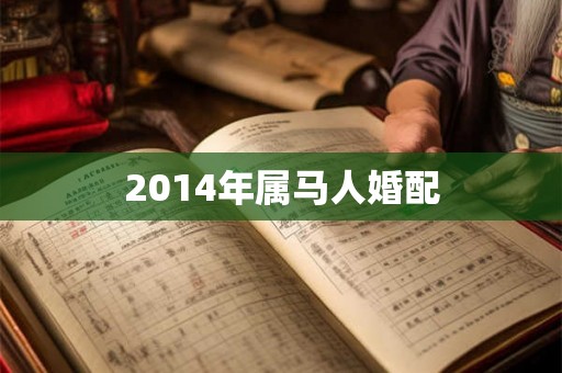 2014年属马人婚配