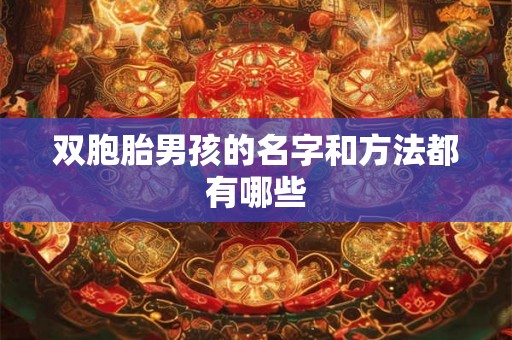 双胞胎男孩的名字和方法都有哪些