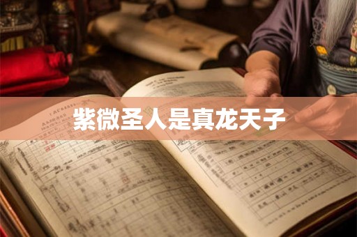 紫微圣人是真龙天子