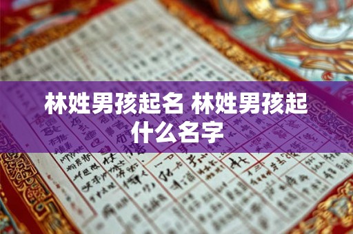 林姓男孩起名 林姓男孩起什么名字 林姓男孩起名 林姓男孩起什么名字