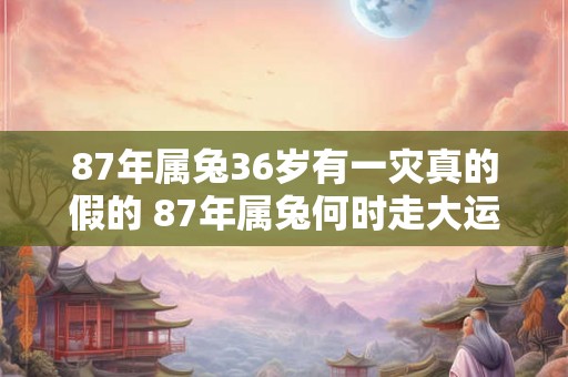 87年属兔36岁有一灾真的假的 87年属兔何时走大运