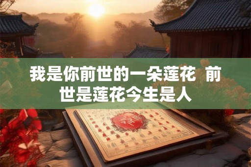 我是你前世的一朵莲花  前世是莲花今生是人