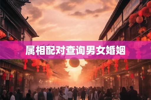 属相配对查询男女婚姻