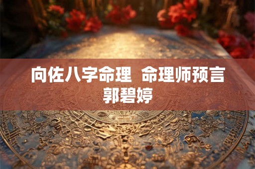 向佐八字命理  命理师预言郭碧婷
