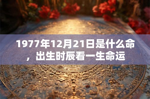 1977年12月21日是什么命，出生时辰看一生命运