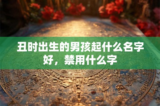 丑时出生的男孩起什么名字好，禁用什么字
