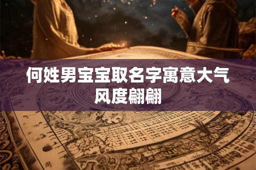 何姓男宝宝取名字寓意大气风度翩翩