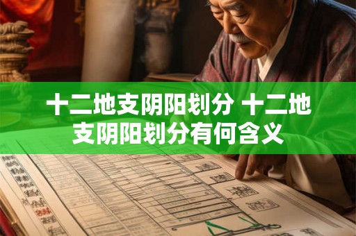 十二地支阴阳划分 十二地支阴阳划分有何含义