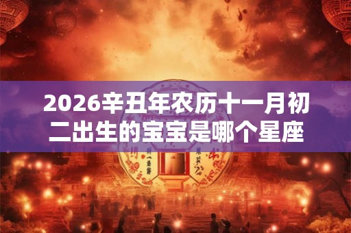 2026辛丑年农历十一月初二出生的宝宝是哪个星座 2026辛丑年农历十一月初二出生的宝宝是哪个星座