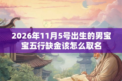 2026年11月5号出生的男宝宝五行缺金该怎么取名