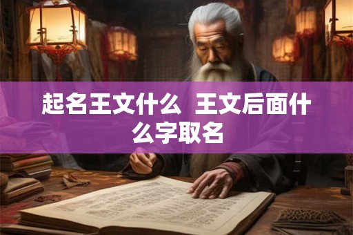 起名王文什么  王文后面什么字取名