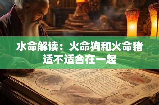 水命解读：火命狗和火命猪适不适合在一起