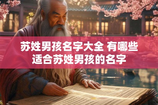 苏姓男孩名字大全 有哪些适合苏姓男孩的名字