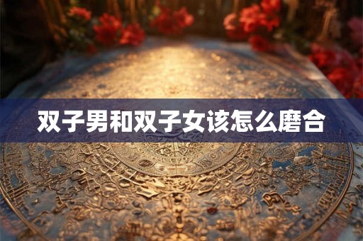 双子男和双子女该怎么磨合