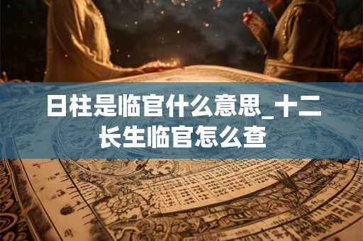 日柱是临官什么意思_十二长生临官怎么查