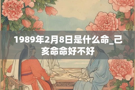 1989年2月8日是什么命_己亥命命好不好