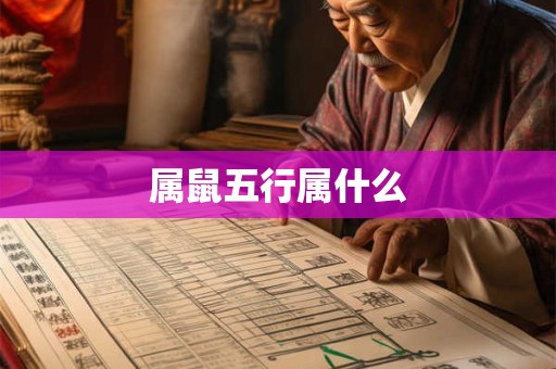 属鼠五行属什么