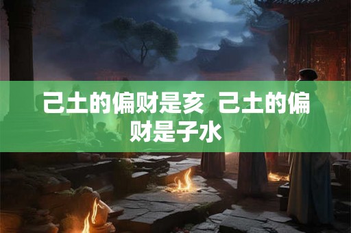 己土的偏财是亥  己土的偏财是子水