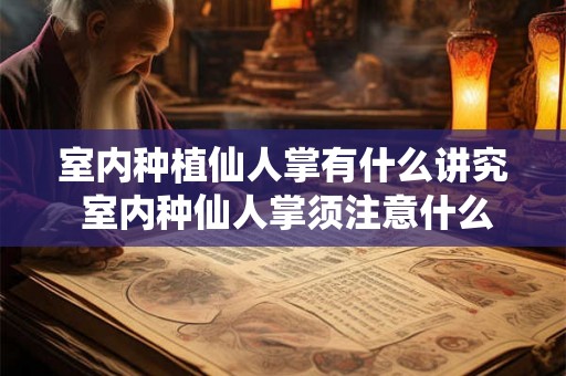 室内种植仙人掌有什么讲究 室内种仙人掌须注意什么