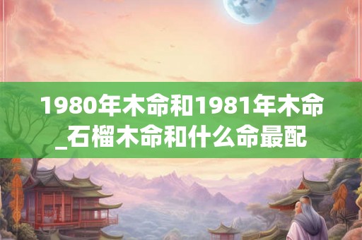 1980年木命和1981年木命_石榴木命和什么命最配