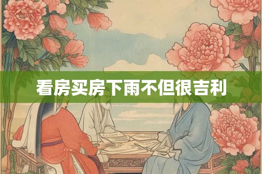 看房买房下雨不但很吉利