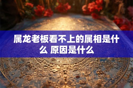 属龙老板看不上的属相是什么 原因是什么