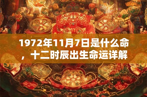 1972年11月7日是什么命，十二时辰出生命运详解