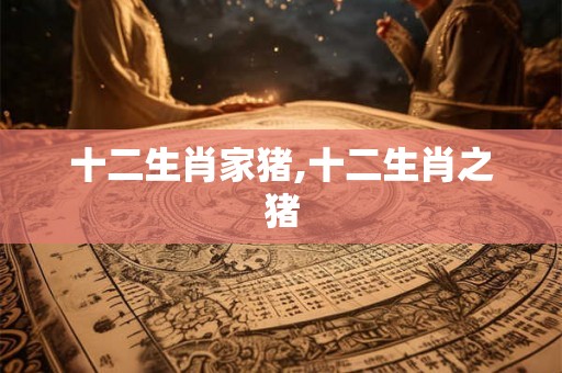 十二生肖家猪,十二生肖之猪