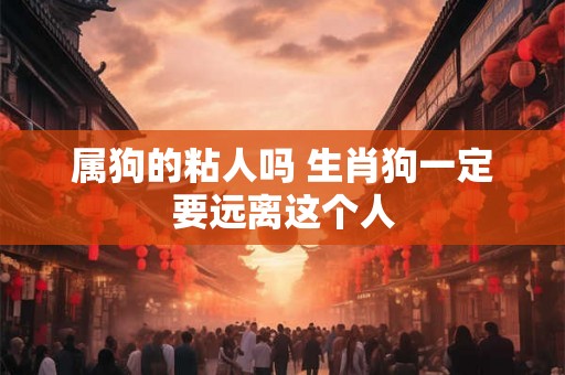 属狗的粘人吗 生肖狗一定要远离这个人