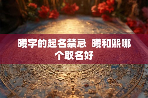 曦字的起名禁忌  曦和熙哪个取名好