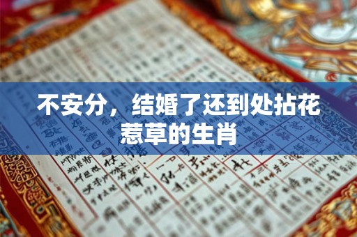 不安分,结婚了还到处拈花惹草的生肖 不安分,结婚了还到处拈花惹草的生肖