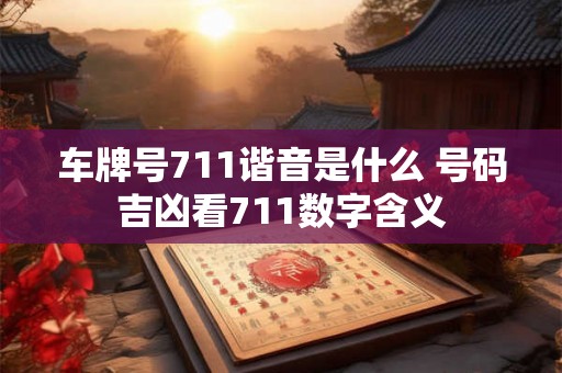 车牌号711谐音是什么 号码吉凶看711数字含义