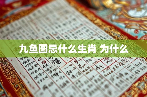 九鱼图忌什么生肖 为什么