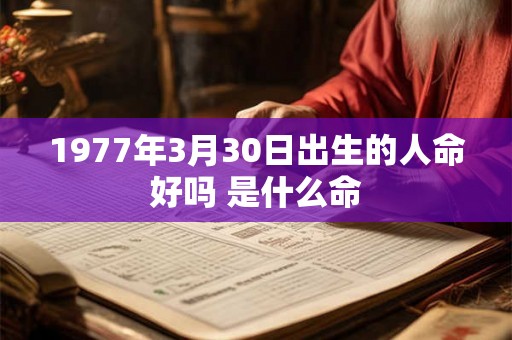 1977年3月30日出生的人命好吗 是什么命 1977年3月30日出生的人命好吗 是什么命