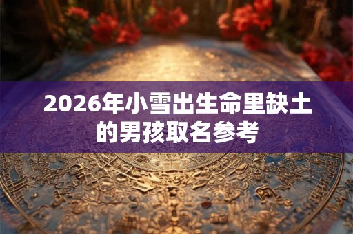 2026年小雪出生命里缺土的男孩取名参考