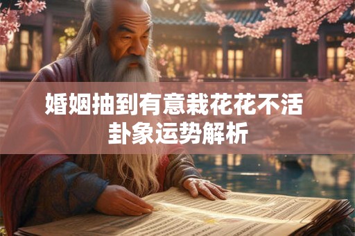 婚姻抽到有意栽花花不活 卦象运势解析