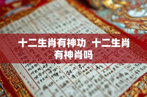 十二生肖有神功  十二生肖有神肖吗
