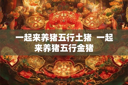 一起来养猪五行土猪 一起来养猪五行金猪 一起来养猪五行土猪 一起来养猪五行金猪