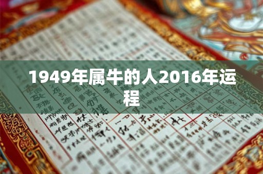 1949年属牛的人2016年运程