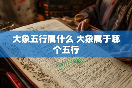 大象五行属什么 大象属于哪个五行