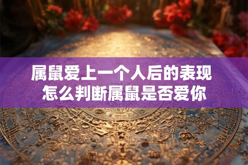 属鼠爱上一个人后的表现 怎么判断属鼠是否爱你 属鼠爱上一个人后的表现 怎么判断属鼠是否爱你
