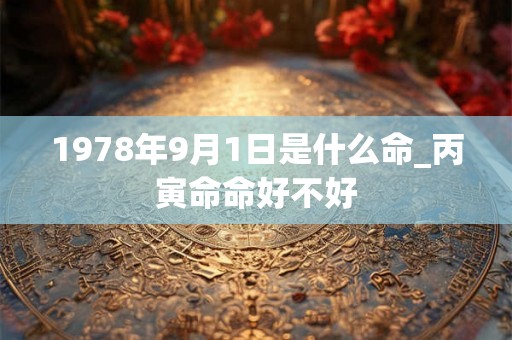 1978年9月1日是什么命_丙寅命命好不好