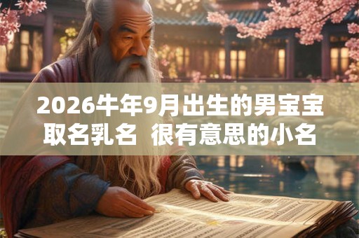 2026牛年9月出生的男宝宝取名乳名 很有意思的小名 2026牛年9月出生的男宝宝取名乳名 很有意思的小名