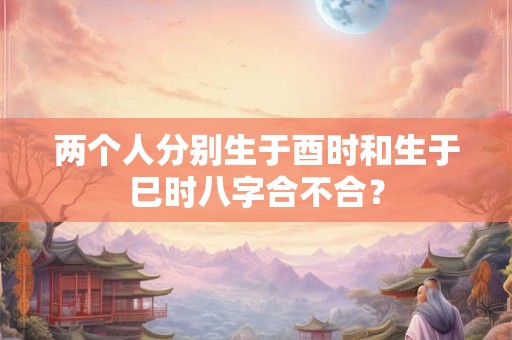 两个人分别生于酉时和生于巳时八字合不合？