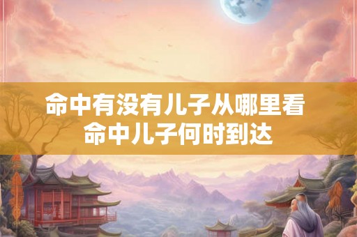 命中有没有儿子从哪里看 命中儿子何时到达