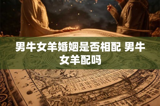 男牛女羊婚姻是否相配 男牛女羊配吗