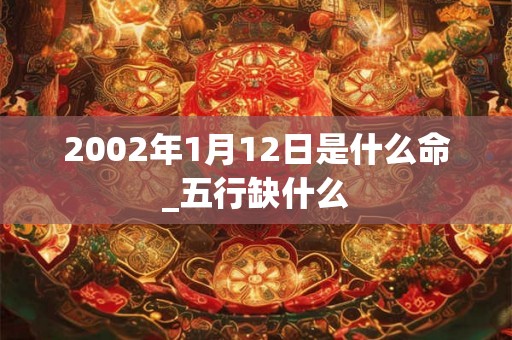 2002年1月12日是什么命_五行缺什么